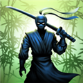 ðմ Ninja Warrior